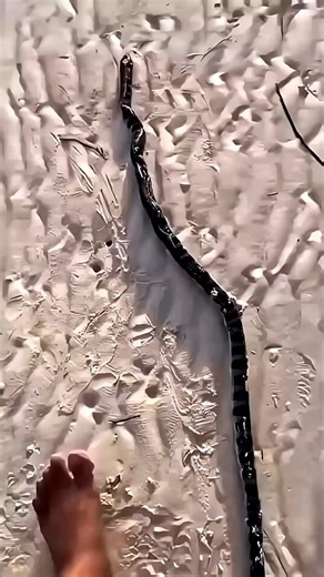 68 shares | This one mistake can cost you everything!  Find the...