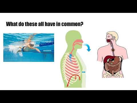 Central Pattern Generator