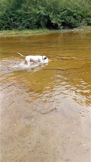 Rosco is fishing