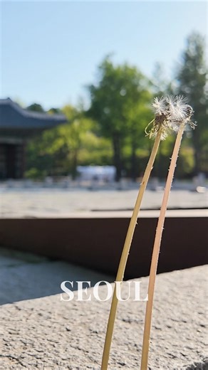 Deoksugung Palace Walk 4K Seoul Korea | 덕수궁 입구부터 내부 산책