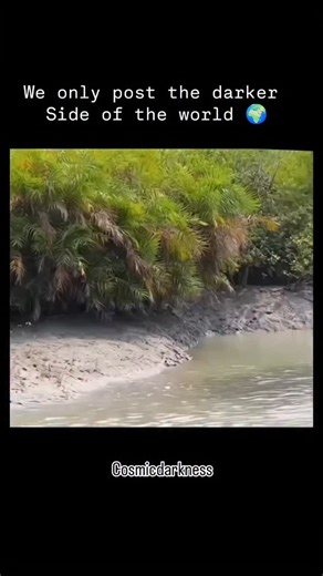 planet | Nature 🌍 on Instagram: "Download 🌄 When a tiger leaps, nature holds its breath! In a breathtaking display of power, this tiger launches itself across the water, bridging an impossible gap with pure muscle and instinct. Moments like this remind us of nature’s unmatched wild strength and grace. Secrets of the Tiger’s Jump: 🔹 Tigers can clear distances up to 20 feet in a single bound—without a running start. 🔹 Their muscular hind legs are designed for explosive bursts of speed and heig