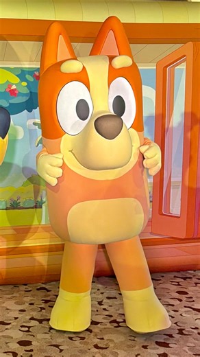 Tim Tracker on Instagram: "Wakey Wakey with Bluey and Bingo on board the Disney Dream ☀️ This is a high energy morning celebration with Bluey and Bingo. What a great way to start your day with dancing and games! #bluey #blueyandbingo #disneydream #disneycruiseline #disney"