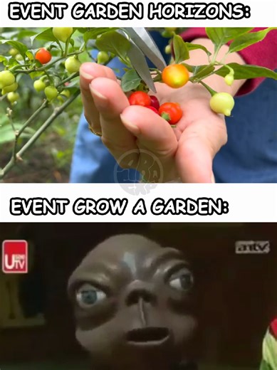 Perbedaan event di Grow a Garden sama Garden Horizons event valentine masih bagus, yang ini gak kuat🙏🏻 #robloxindonesia #meme #alien #growagarden #gardenhorizons