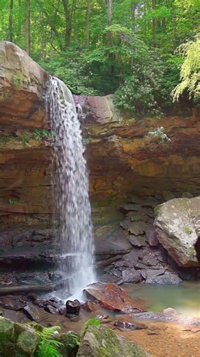 Living close to nature|Water stream#shorts