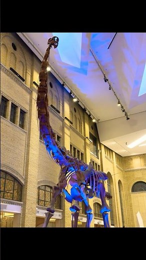 Explore the Coolest Dinosaurs at the Museum!