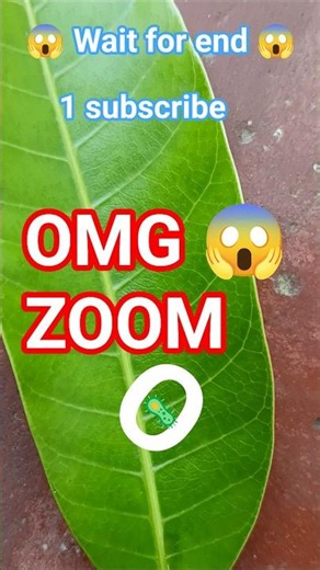 wait for end 😱.#zoom #love #nature