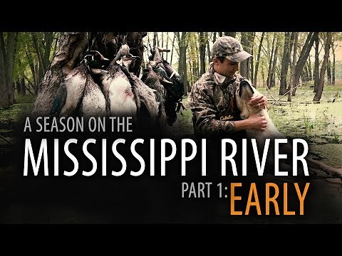 6/60: Part 1: EARLY | A Duck Hunting Season on the Upper Mississippi River
