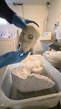 polyurethane foam #skull test