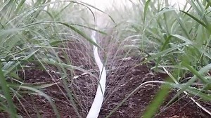 868K views · 10K reactions | Save 50% water and increase 50% - 70% growth rate of the crops with V.K. Rain Irrigation System. Patented Technology, UV Coated pipe. V.K. Rain Irrigation Kit comes with “Do It Yourself Kit”. | VK PackWell Pvt. Ltd. | Facebook