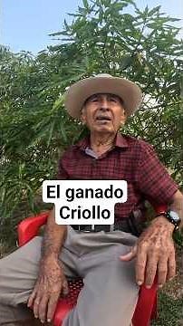 Como era el ganado criollo #llano #clasesdeganado #ganaderia