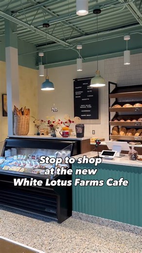 🌈💖 Stop to shop at our new White Lotus Farms Bakery, Café, & Market. ☝️ Need a quick pick me up or last minute ingredients for dinner? 🥘 We've got you covered. 🥳 And, now you don't have to wait until Farmers Market to get your favorite food because we're open 5 days a week until 7 pm! 👏 come find us at 355 S Zeeb rd in Ann Arbor, MI ✨ #annarbor #annarboreats #coffee #thingstodo #shoplocal #sourdough #newcafe #explore | White Lotus Farms