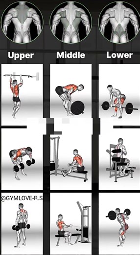 build a stronger back targeted back workout for muscle growth#gym #gymlife #workout #backworkout