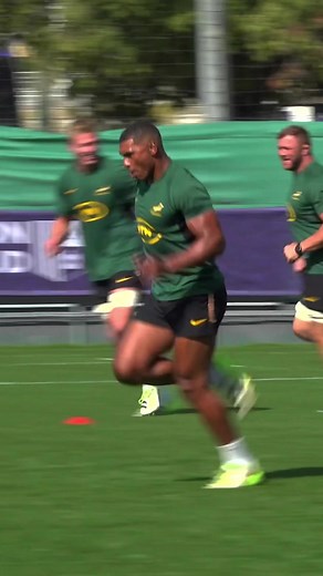 Springboks Wallpaper 2023 - Refreshed and Refocused