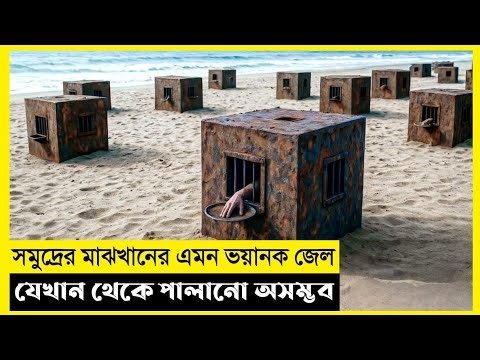 Jail Of Sea Movie Explain In Bangla|Survival|Thriller|The World Of Keya
