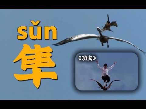 The Fascinating World of Hawks: High-Speed Hunts and Feathered Feats