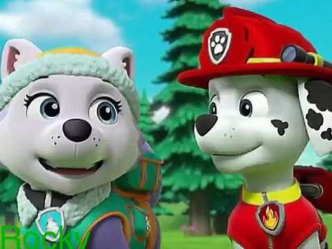 Paw patrol Marshall X Everest
