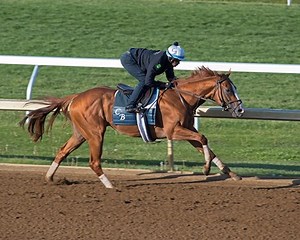 Good Magic Smooth in Four-Furlong Work