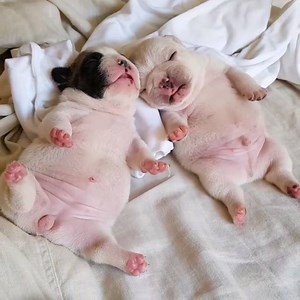 464K views · 11K reactions | When you and your BFF took cheat day too far...  | boohoo.com | Facebook