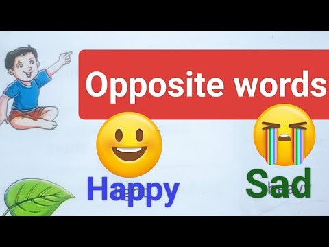 20 Opposite words in English l Learn English Worksheet class first l Englis Day practice Worksheet