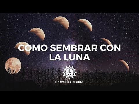 Como Sembrar Con LA LUNA 2026/ cultivar con fases lunares/ calendario lunar