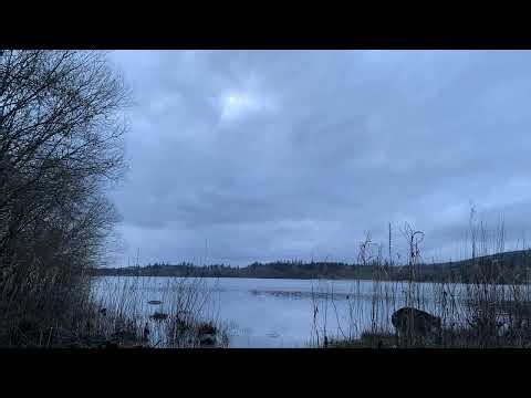 Relaxing Nature Sounds | Peaceful Lake & Gentle Bird Ambience