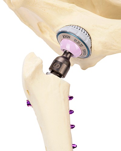 Veterinary THR - Total Hip Replacement Implant | KYON