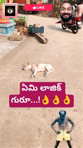 ఓరి నేరా..సేసినావుగాని తాన్నం😉 | FUNNY ANIMAL VOICEOVERS BY RAJAKIRAN AKELLA | #FUNNY #animalcomedy