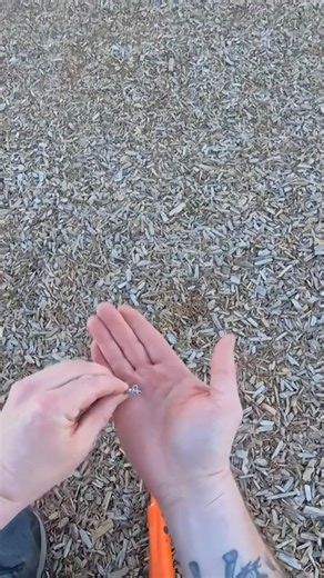 Lost RING found w/ Nokta Simplex LITE #metaldetecting