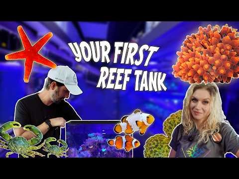 Is This the Best Reef Tank for Beginners? || Setting up a Planet Tideline All in One Cube ||