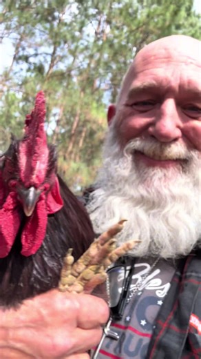 This is Jack. He’s gonna be hanging out in his own pen for a bit while he gets used to the place. Figured I’d introduce him now before he thinks he’s just background livestock. #TurnLeftRanch #EastTexasFarm #NewAddition #FarmLife #GettingSettled