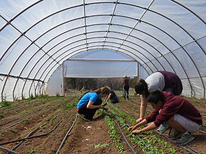 Instructor Insights | Terrascope | Earth, Atmospheric, and Planetary Sciences | MIT OpenCourseWare
