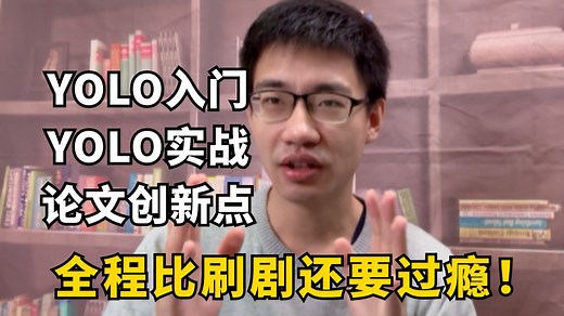 YOLO全系列教程：迪哥带你从V1到V13玩转目标检测，快速解决YOLO入门 项目实战 论文创新一切问题！