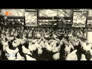 Retro Kulinarisches in der DDR