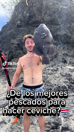 Explore Costa Rica's Stunning Beaches