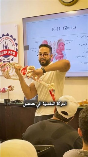 Understand Your Muscles and Their Functions to Choose the Right Exercises