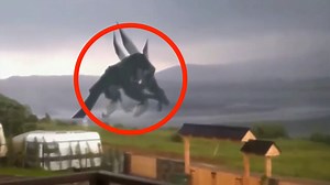 164K views · 4.9K reactions | Chills on Reels | Facebook