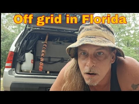 No AC, No Problem: My Car Cooling System for Florida Heat