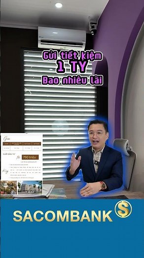 Gửi tiết kiệm Sacombank Và Những Đế Chế Tài Chính: Đặng Văn Thành, Trầm Bê, Dương Công Minh #hocang