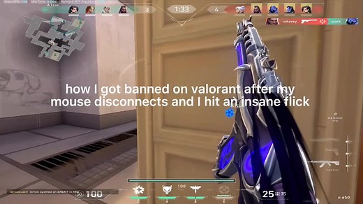 Valorant Mouse Disconnect Ban Incident Explained