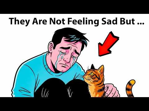 Psychology of Cats When You're Crying (What They Actually Do)