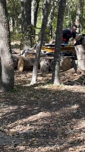 No more trees can come down until all of this is split and stacked! It may take a minute! | Truck Farm Gardens