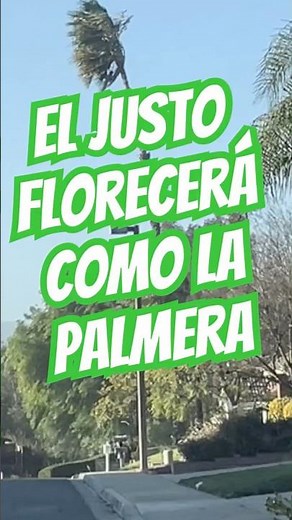 El justo florecerá como la palmera ￼#LaPalmera #musicacristiana #salmos #PalabradeDios #biblia