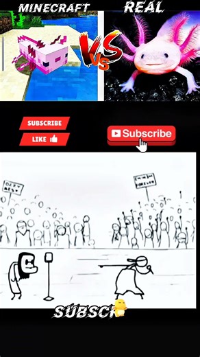 minecraft vs real life 0999m