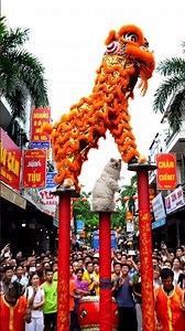 🦁🎉 #CatLionDance