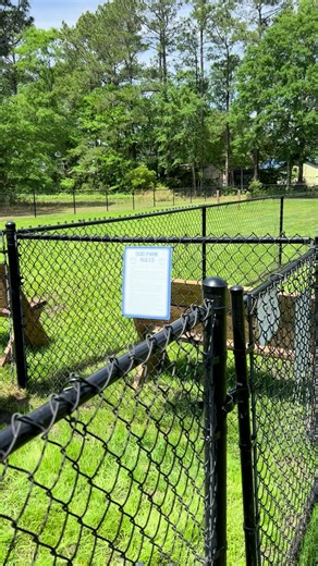 21K views · 179 reactions | Beautiful day for the reopening of the Barking Lot Dog Park.  | Town of Newport, North Carolina | Facebook