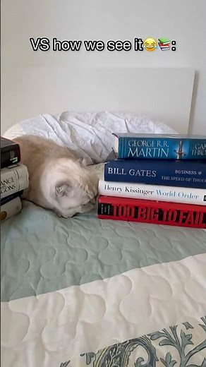 How teachers vs students see homework 😂 #kikicutekitty #teacher #students #school #relatable #fyp