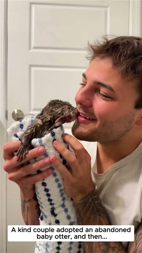 Adopt a baby otter. #otter #wildliferescue #lovestory #cute #love #animals #pets #rescue