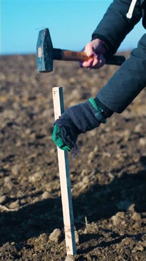 Land preparation - Panonija phase 2! 🚜