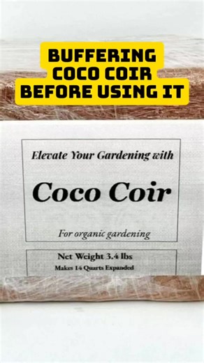 The Potted Grove on TikTok