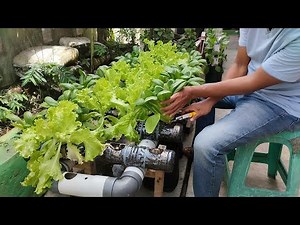 How to Build a Wick Hydroponic System using plastic bottles || Farming at home